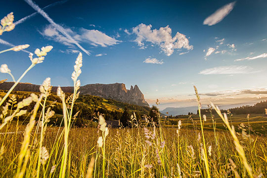 The Sciliar from the Alpe di Siusi